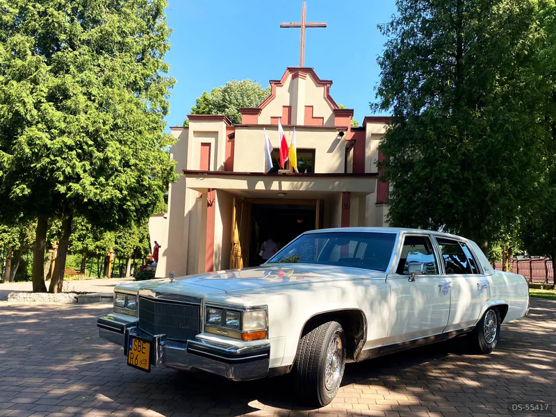 1980 Cadillac Fleetwood in Siewierz 2