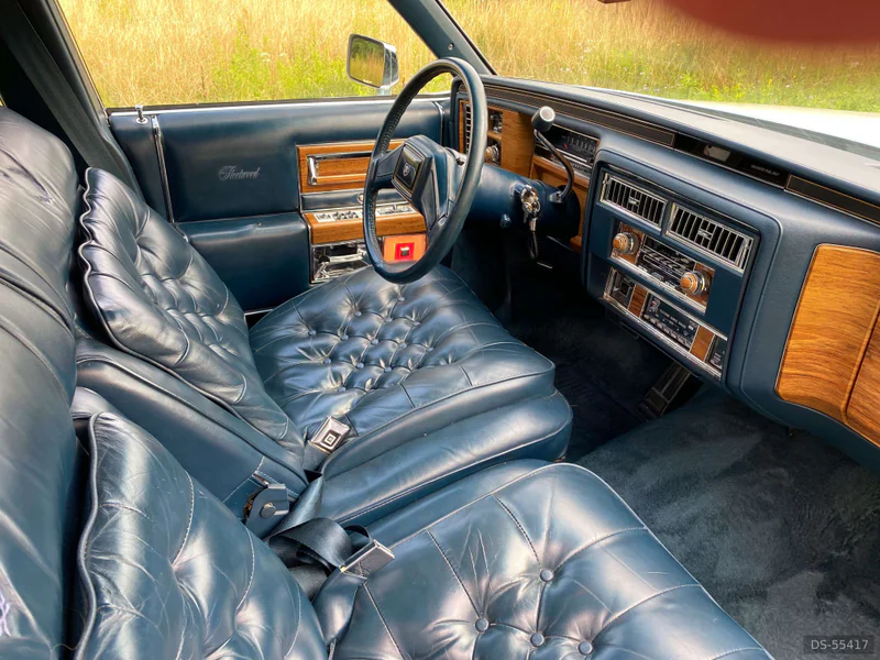 1980 Cadillac Fleetwood in Siewierz 4