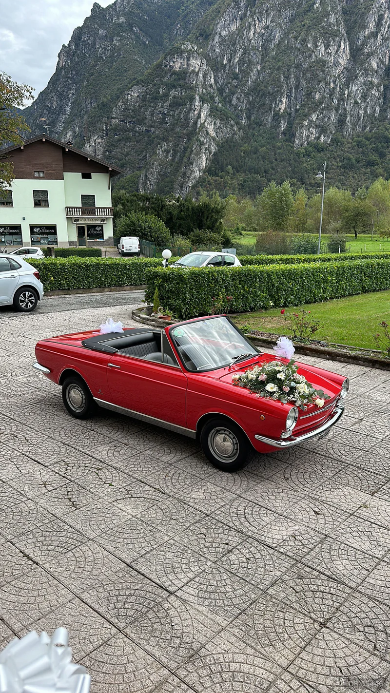 1967 Fiat 850 Spider Carrozzeria Vignale in Idro