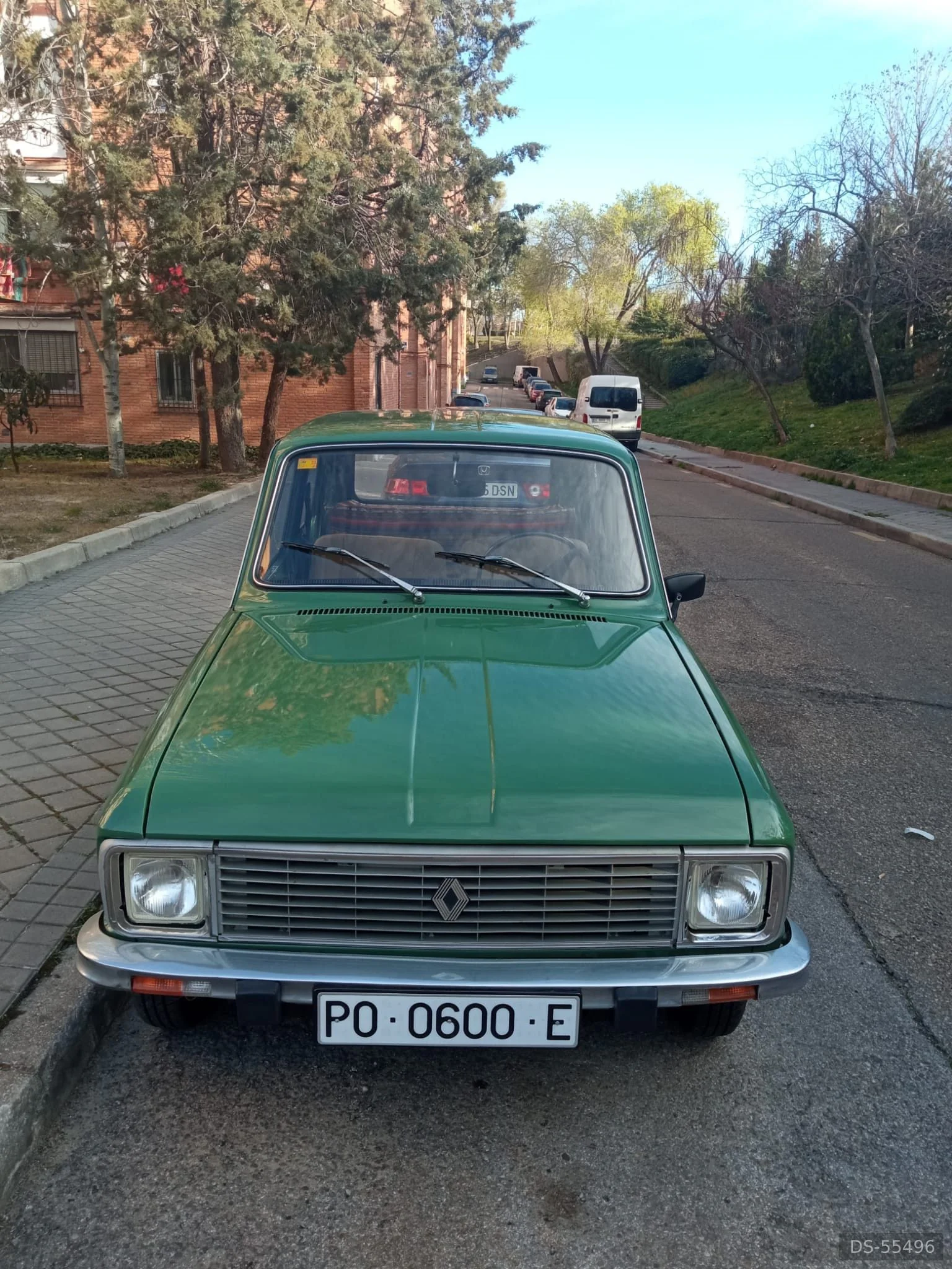 1971 Renault R6