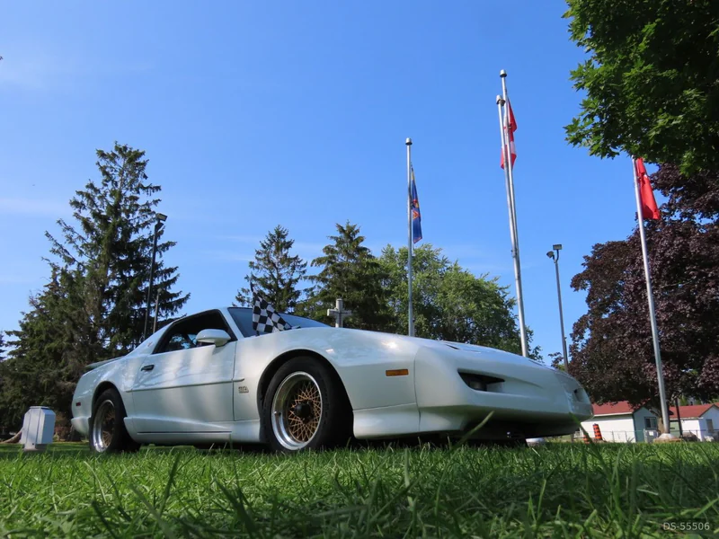 1991 Pontiac Trans-am Gta in Mount Forest