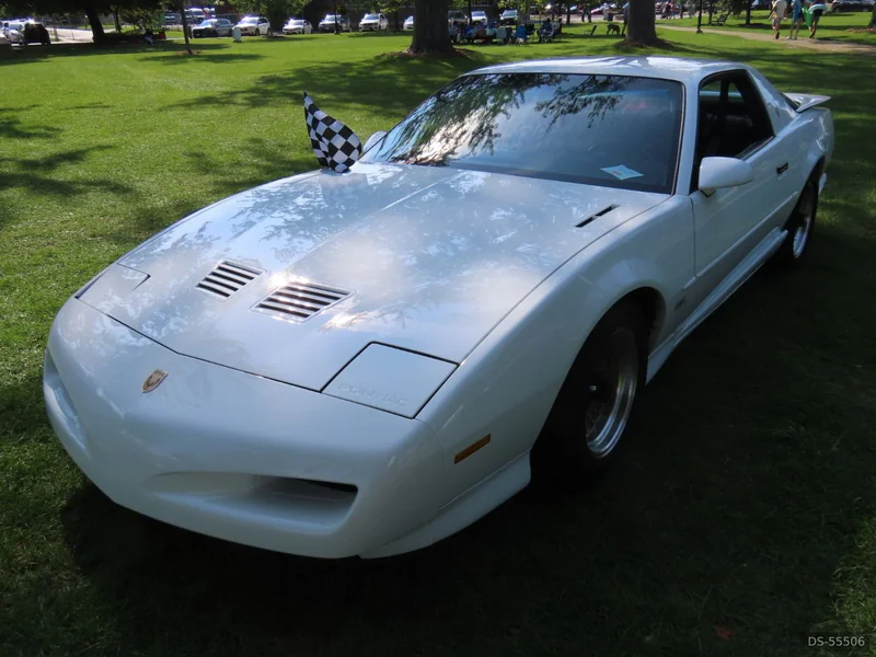 1991 Pontiac Trans-am Gta in Mount Forest 4