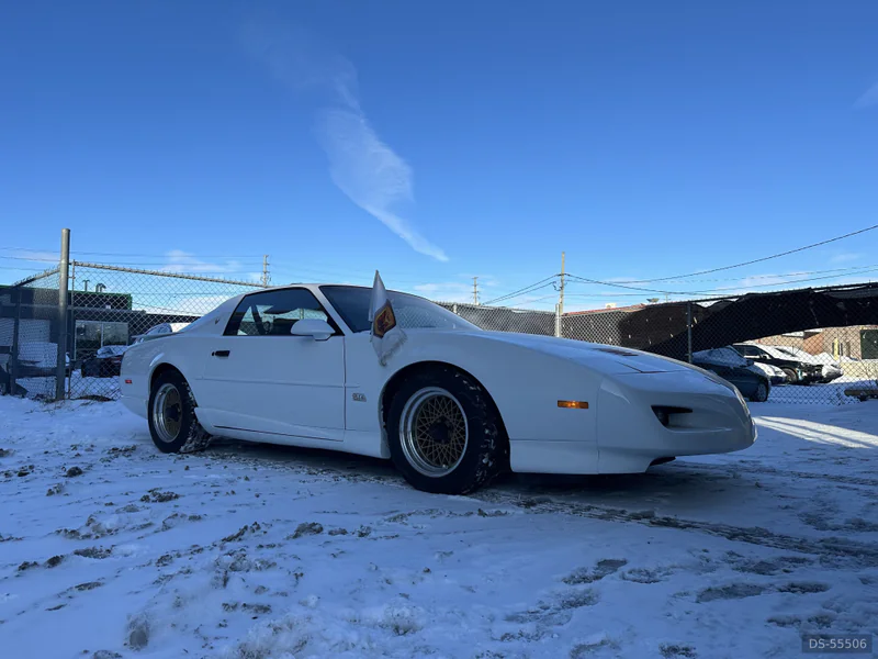 1991 Pontiac Trans-am Gta in Mount Forest 9