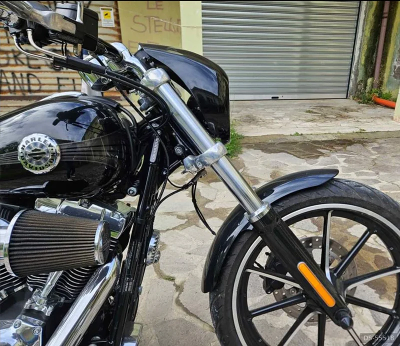2014 Harley-Davidson Breakout in Cesenatico 3