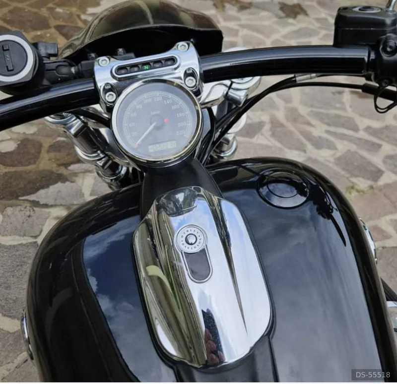 2014 Harley-Davidson Breakout in Cesenatico 4