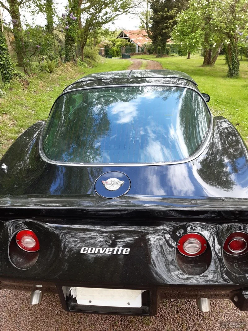 1978 Chevrolet Corvette C3 in Bouaye 2