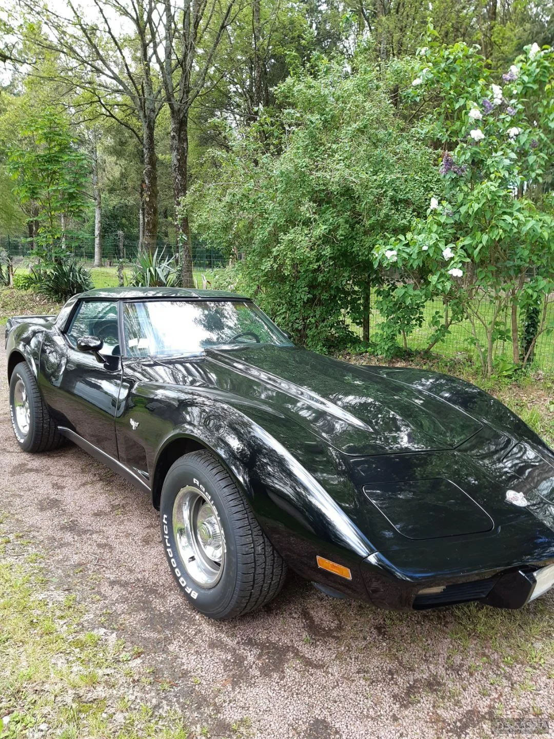 1978 Chevrolet Corvette C3
