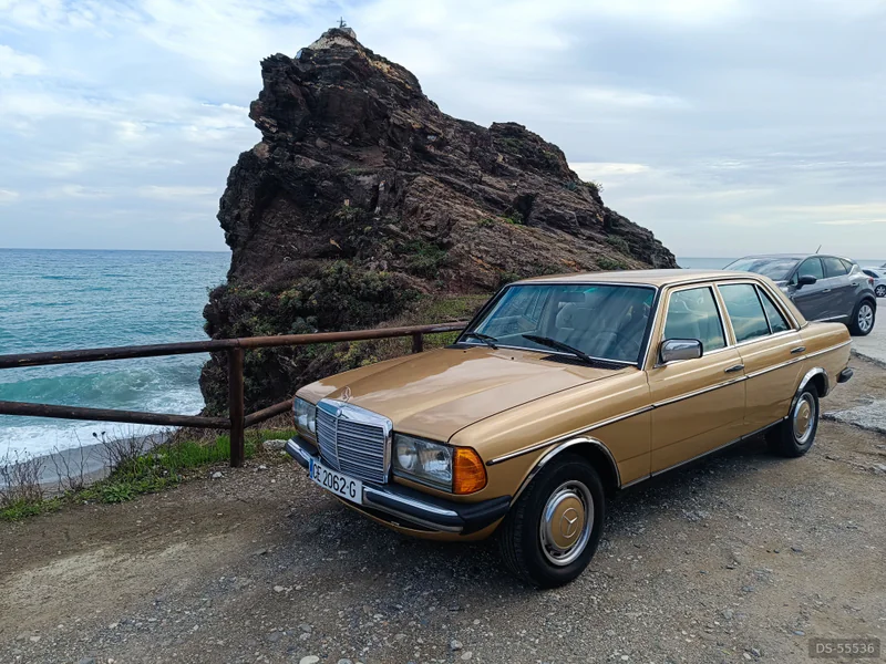 1984 Mercedes-Benz W123 in Málaga 1