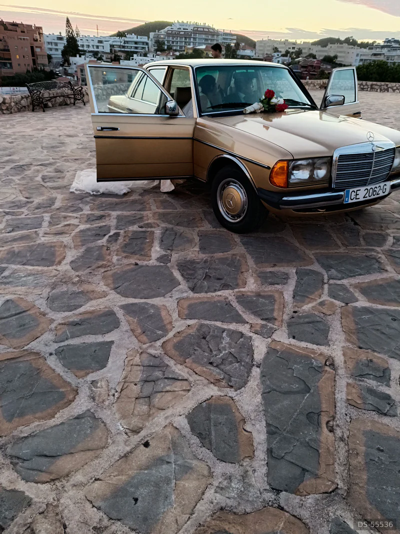 1984 Mercedes-Benz W123 in Málaga 2