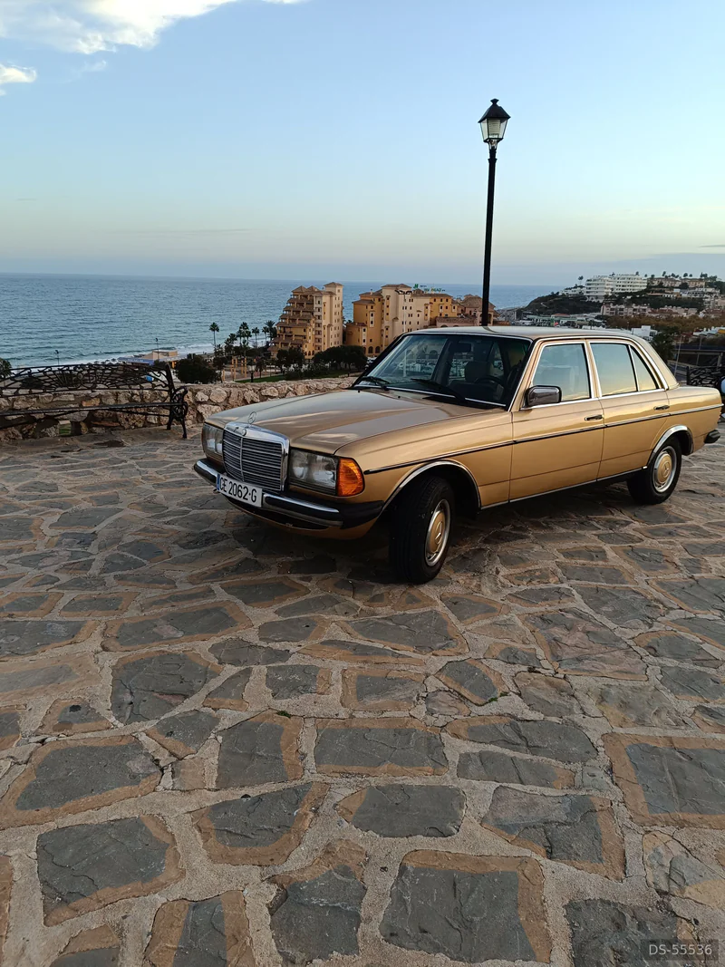 1984 Mercedes-Benz W123 in Málaga 3