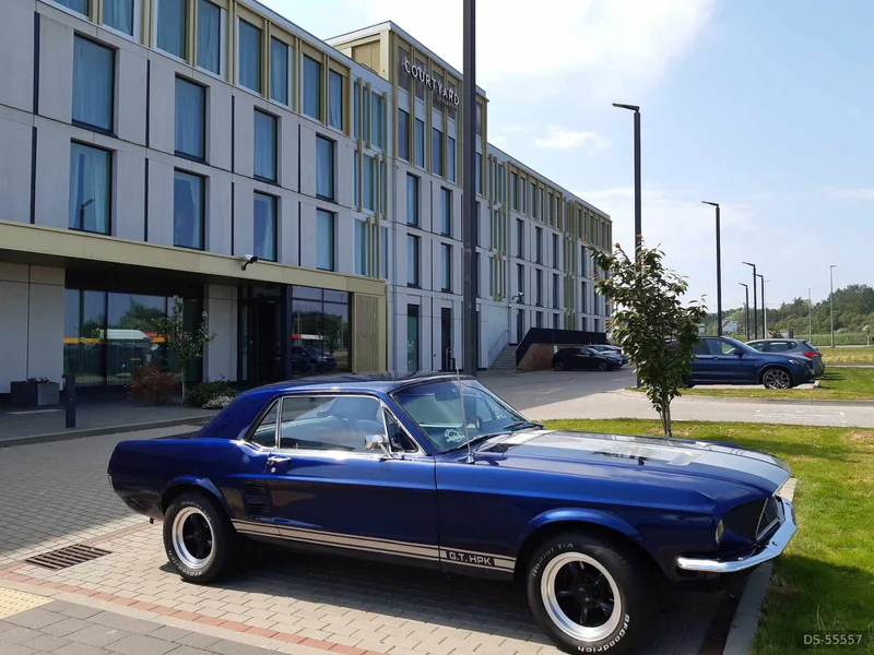 1967 Ford Mustang in Nairn 3