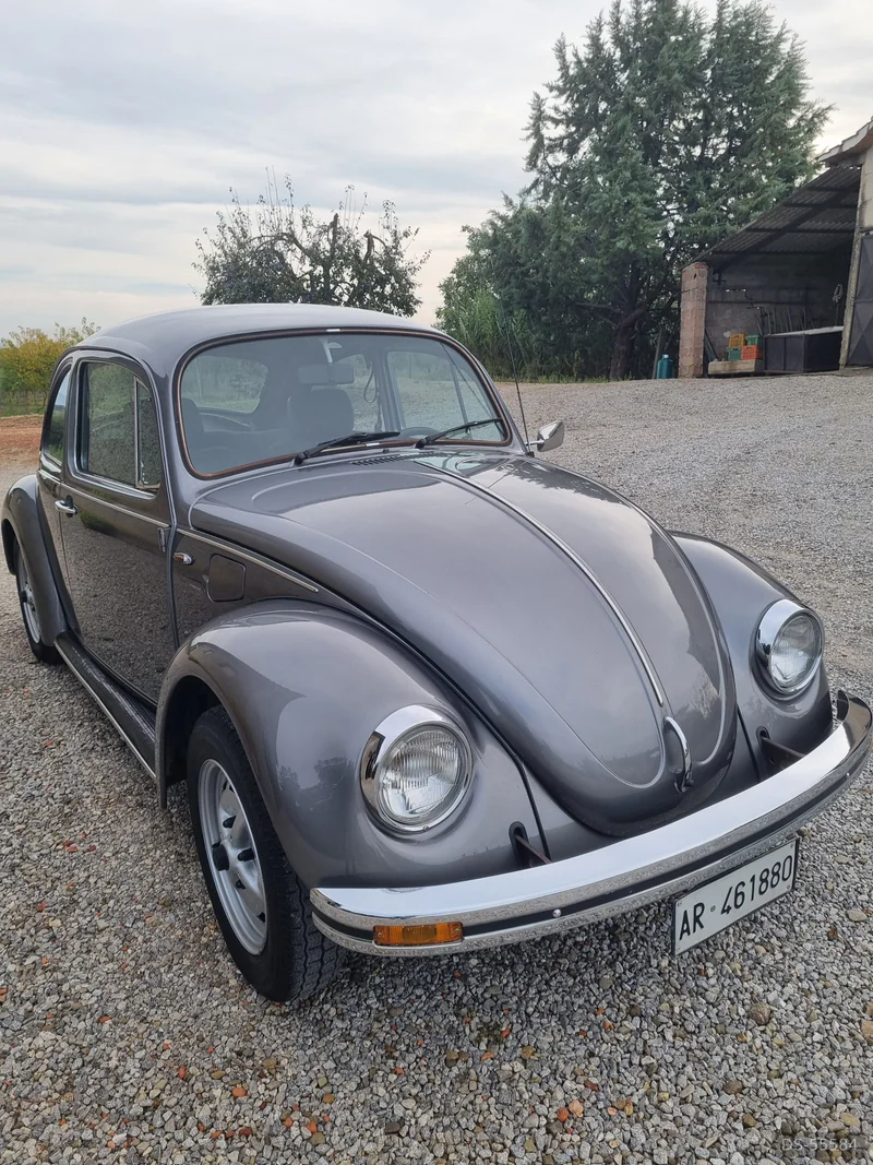 1979 Volkswagen Maggiolino in Marciano Della Chiana