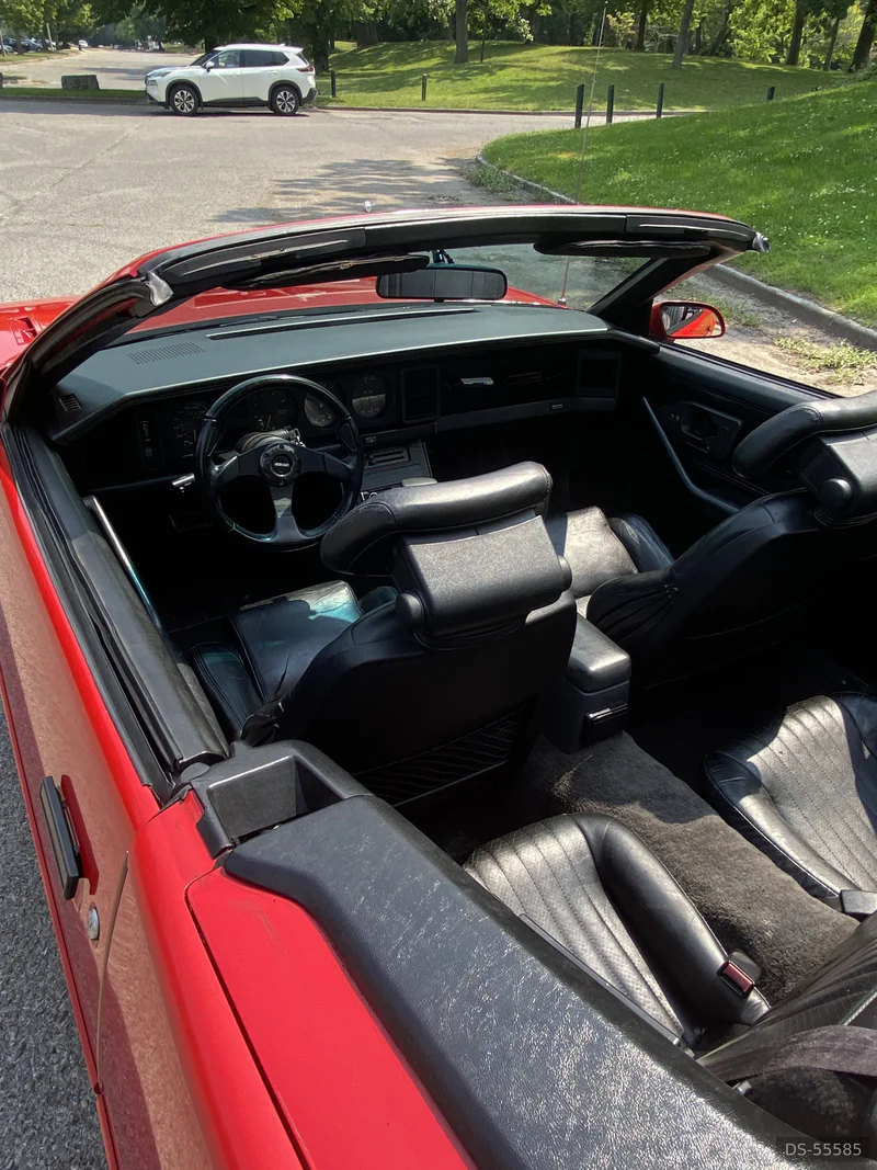 1992 Pontiac Firebird Trans Am Convertible in Sarnia 2