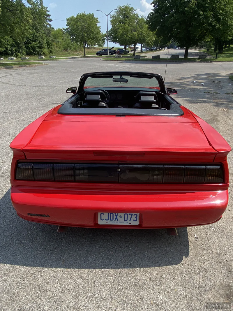 1992 Pontiac Firebird Trans Am Convertible in Sarnia 3