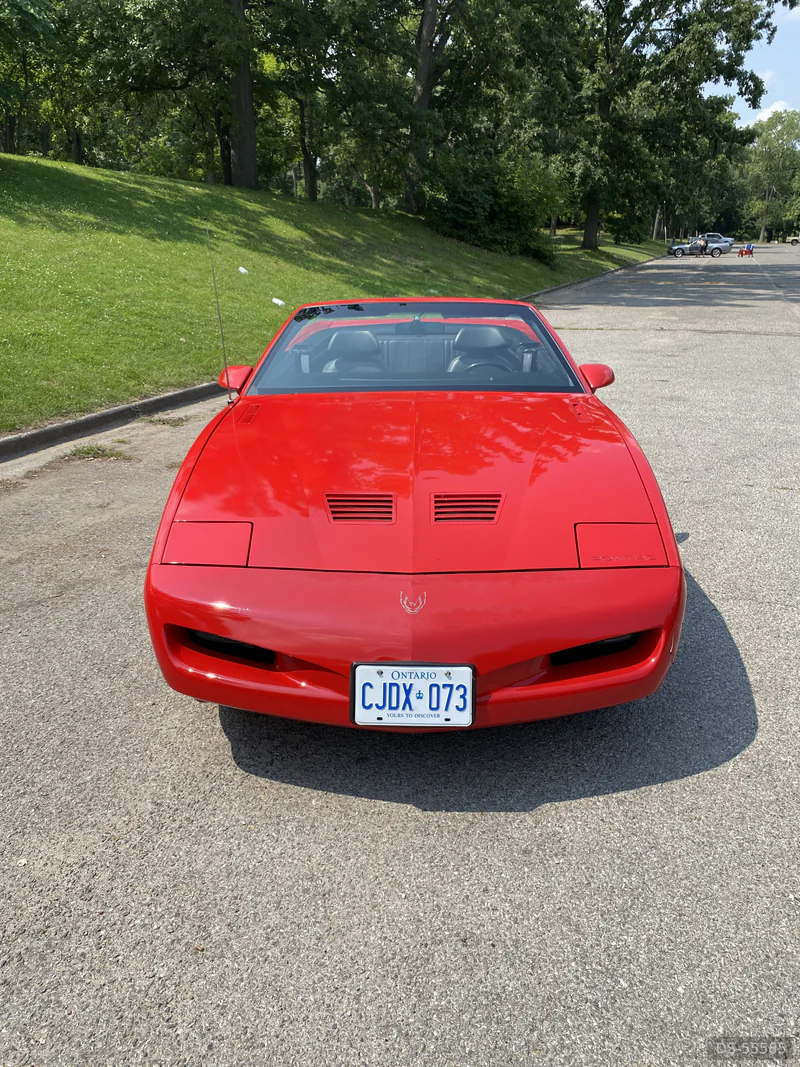 1992 Pontiac Firebird Trans Am Convertible in Sarnia 4