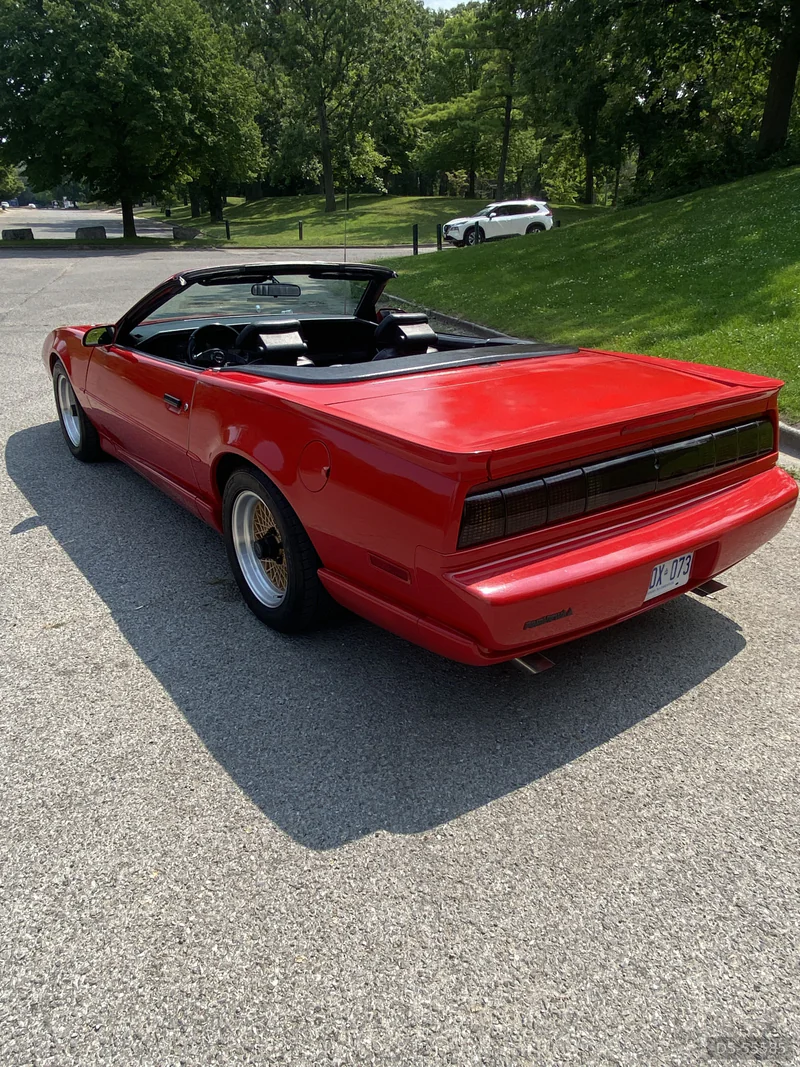 1992 Pontiac Firebird Trans Am Convertible in Sarnia 5