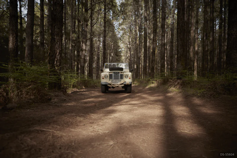 1980 Land Rover Serie 3 in Santa Cruz De Tenerife 10