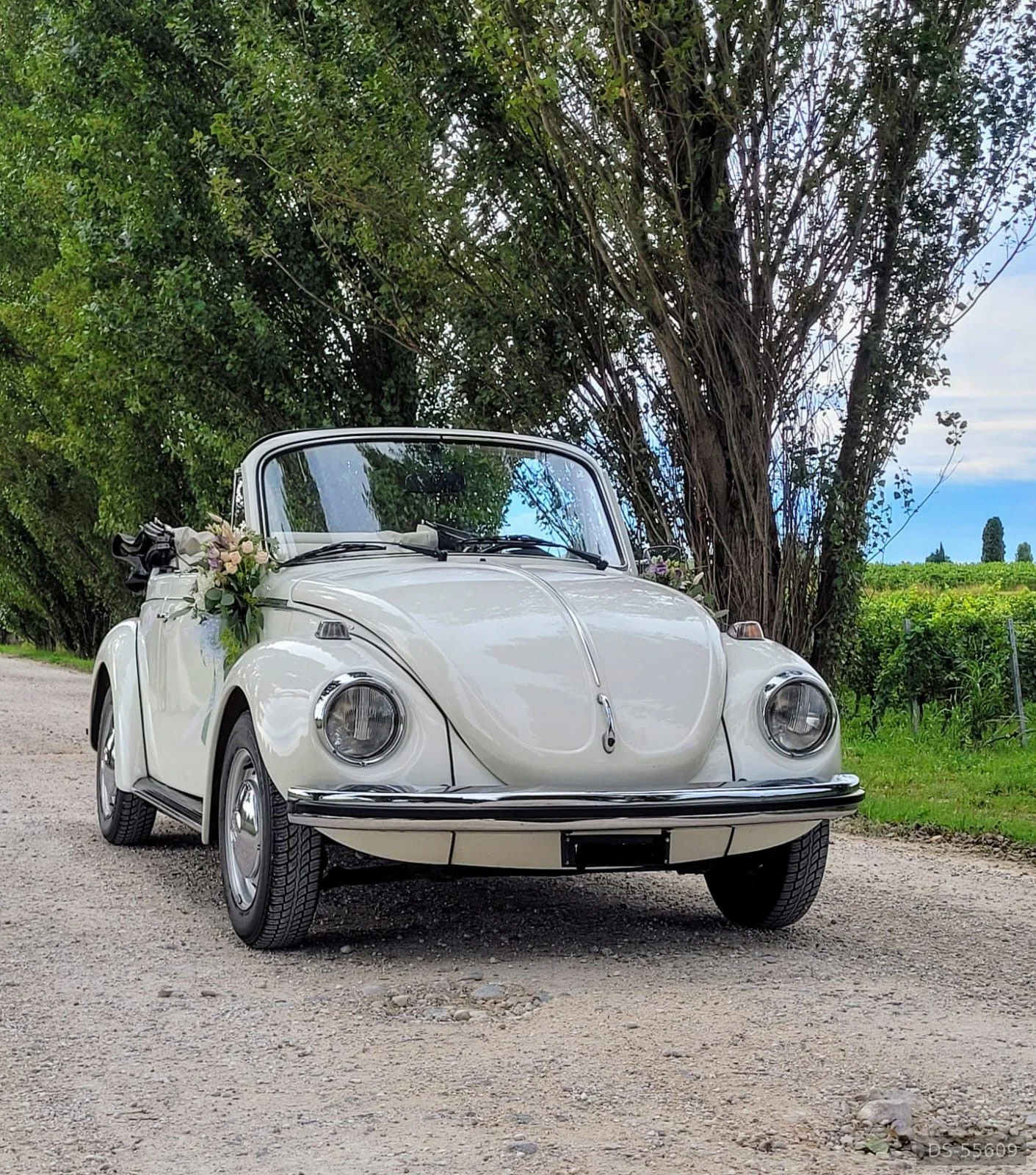 1973 Volkswagen Maggiolone Cabrio 1303
