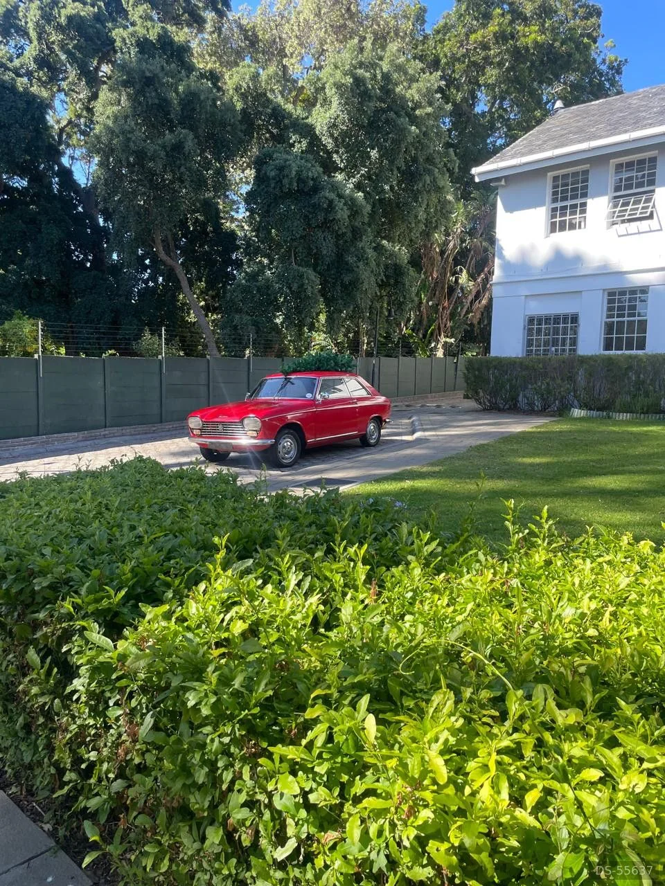 1969 Peugeot 204