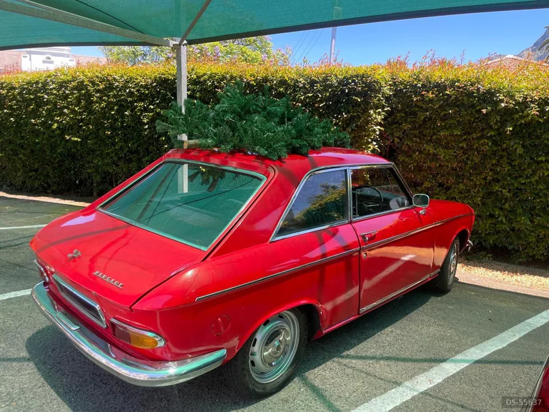 1969 Peugeot 204 in Cape Town 2
