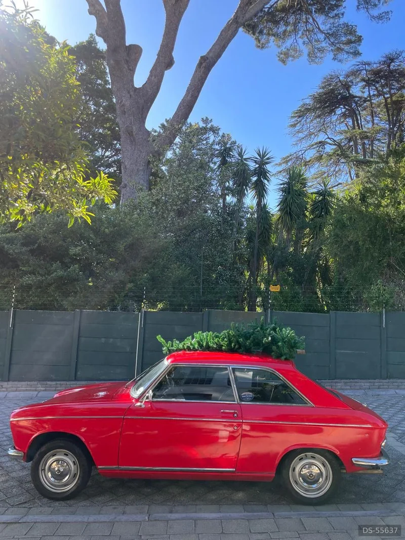 1969 Peugeot 204 in Cape Town 3