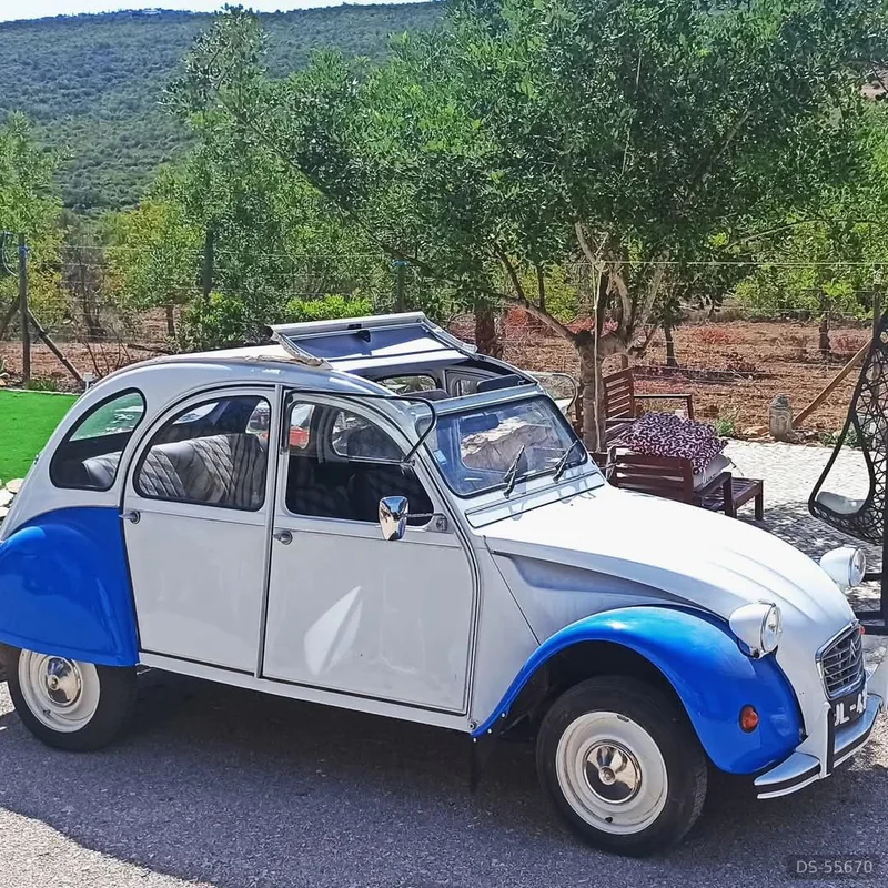 1986 Citroen 2cv in Loule 2