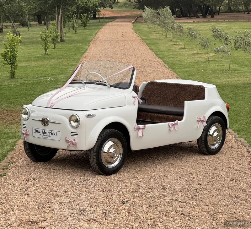 1959 Fiat 500 Jolly in Johannesburg 4