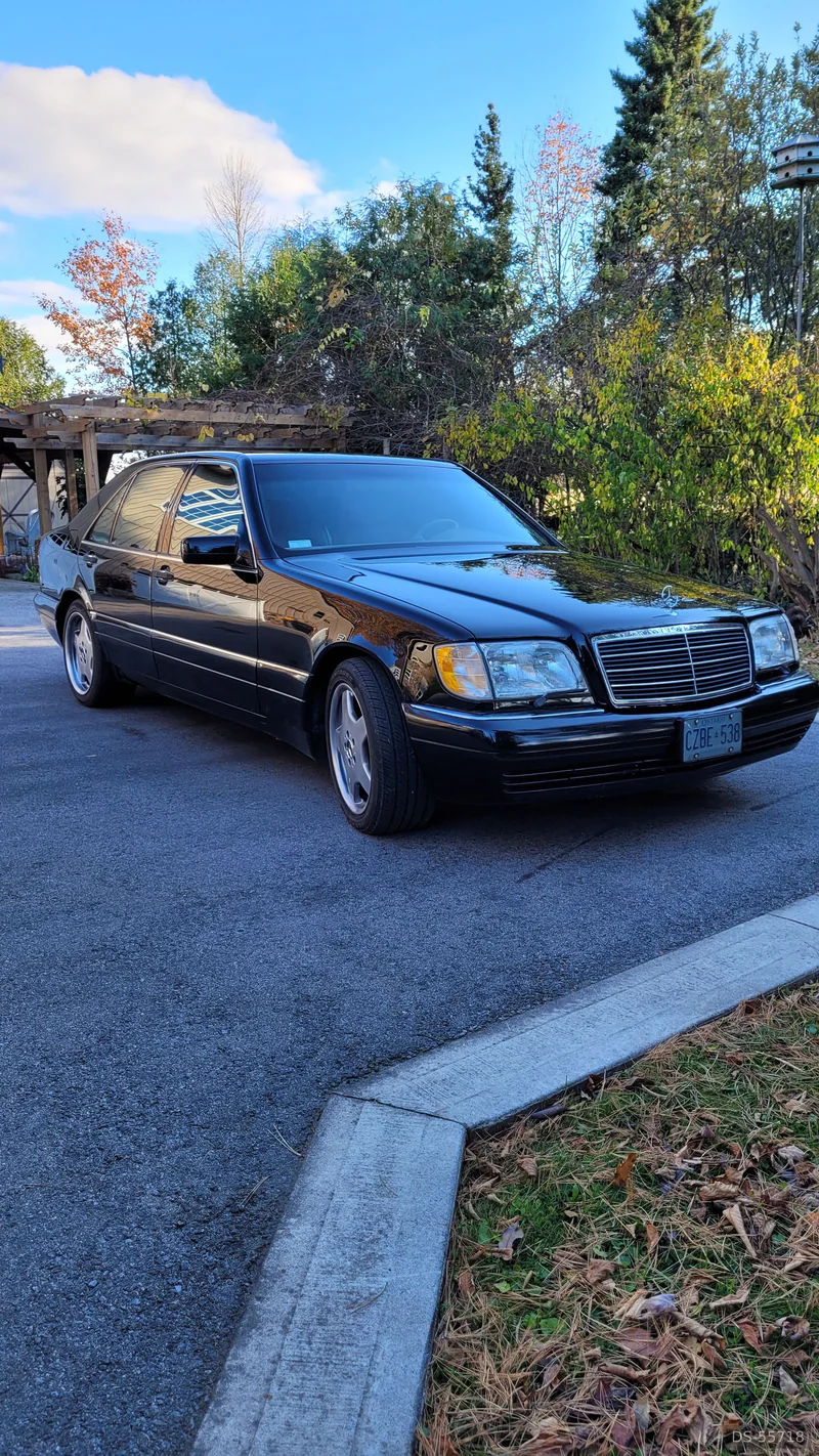1999 Mercedes-Benz S320 in Binbrook 4