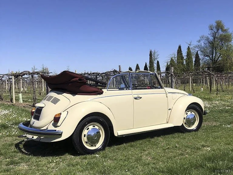 1971 Volkswagen Maggiolino in Spilamberto 3