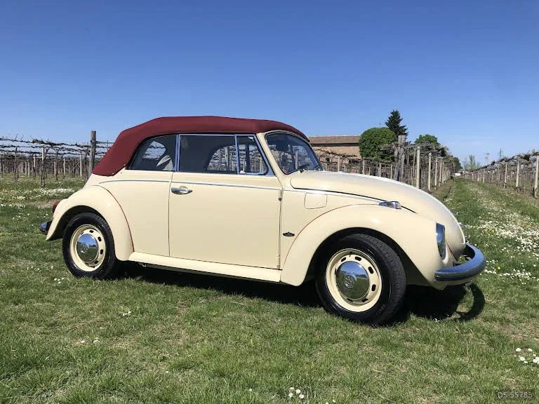 1971 Volkswagen Maggiolino in Spilamberto 4