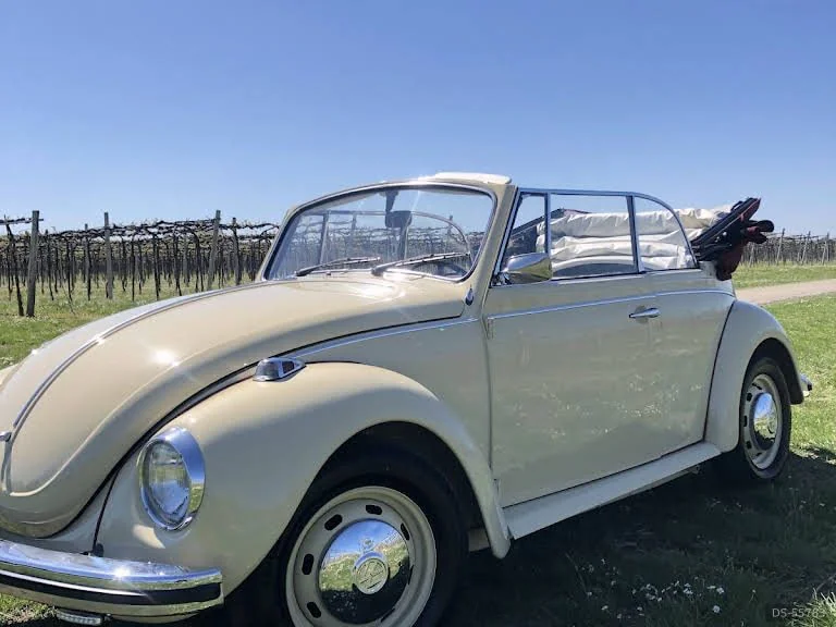 1971 Volkswagen Maggiolino in Spilamberto 2