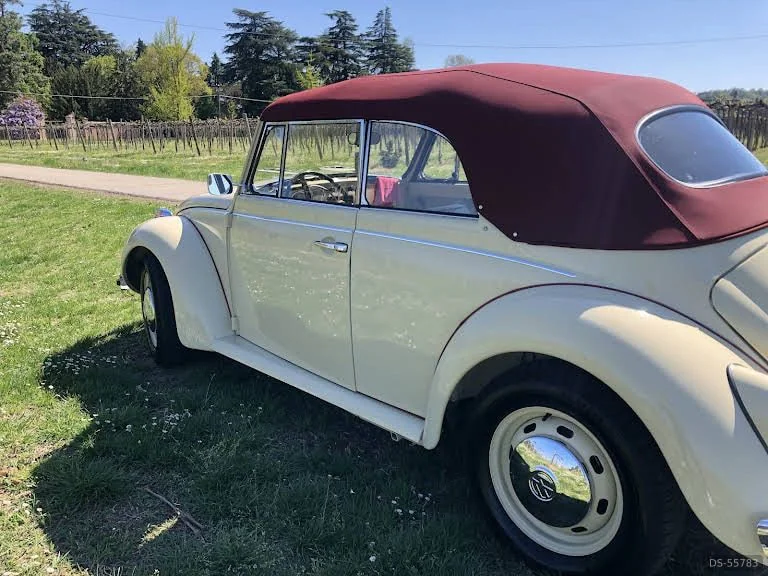 1971 Volkswagen Maggiolino in Spilamberto 5