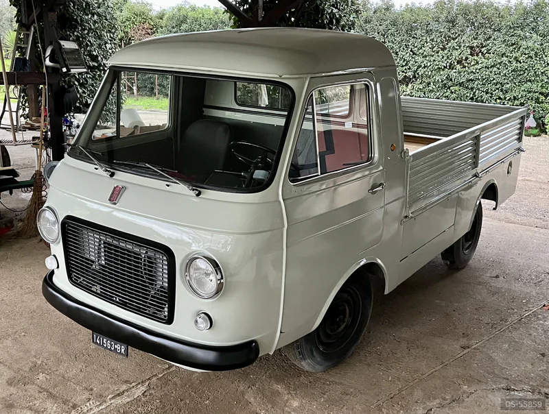 1976 Fiat 241 Tn in Ginosa 2