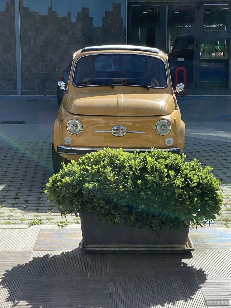 1965 Fiat 500 in Potenza 2