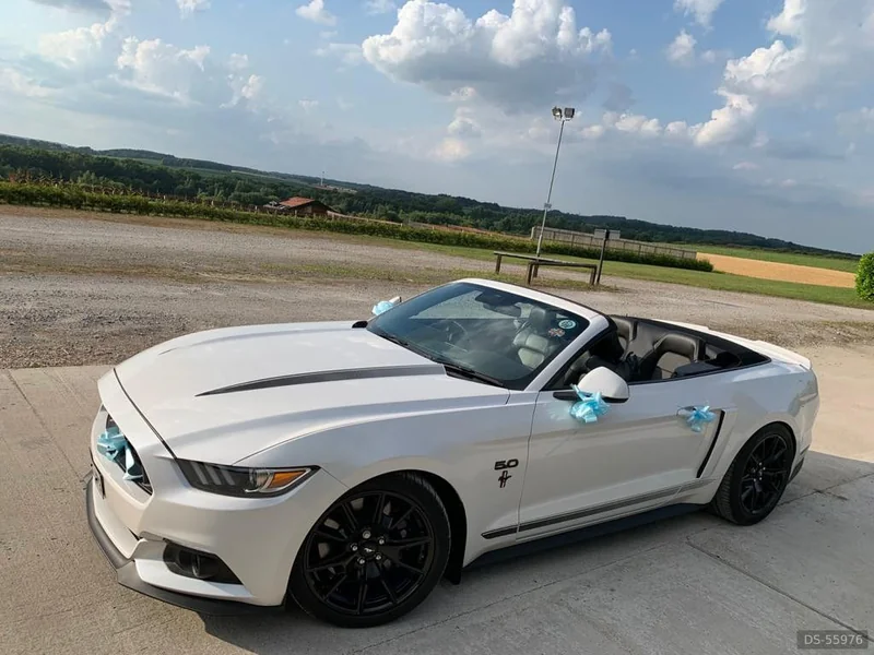 2018 Ford Mustang in Chesterfield 3