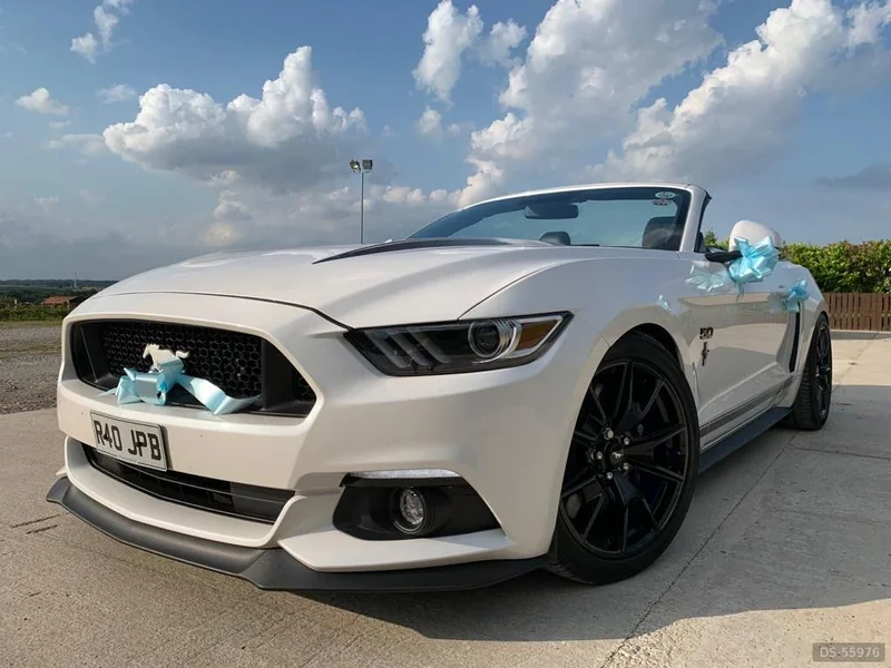 2018 Ford Mustang in Chesterfield 6