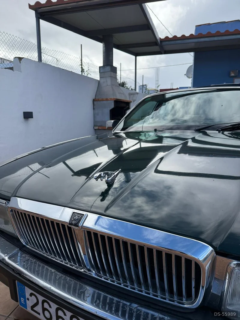 1987 Jaguar Sovereign 3.6 in San Cristóbal De La Laguna 5