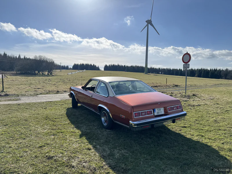1977 Chevrolet Nova in Most 3