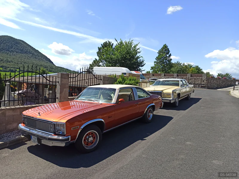 1977 Chevrolet Nova in Most 4