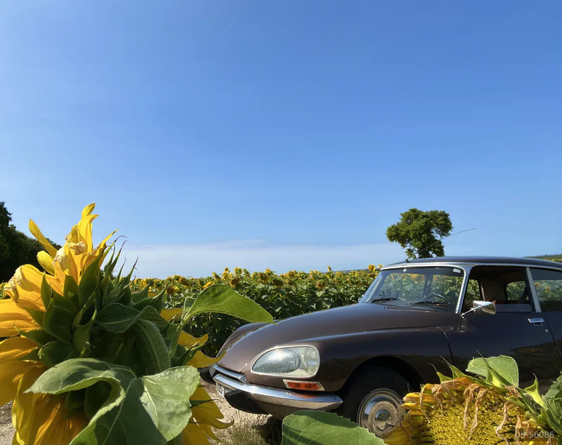 1972 Citroen Ds in La Rochelle 5