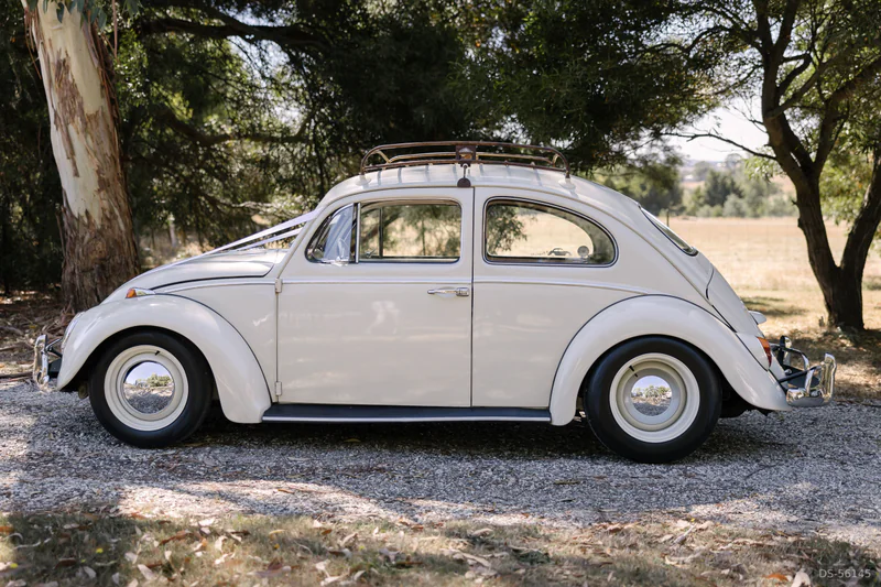 1966 Volkswagen Beetle in Melbourne