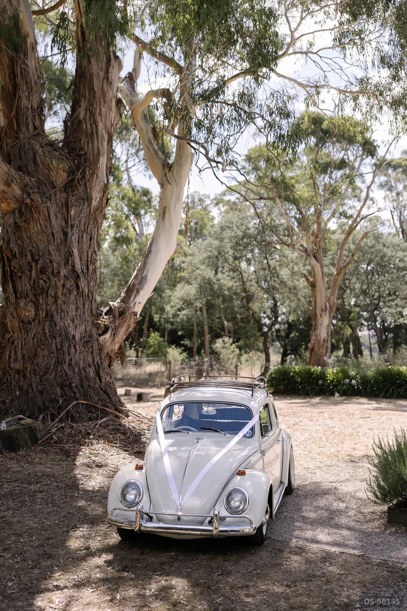 1966 Volkswagen Beetle in Melbourne 8