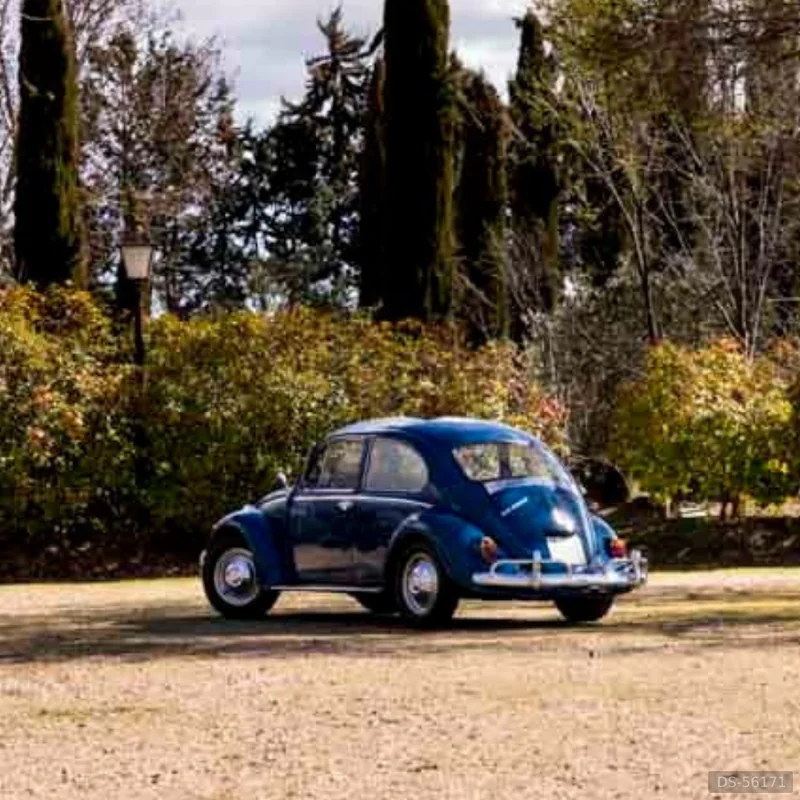 1963 Volkswagen Beetle in Madrid 3