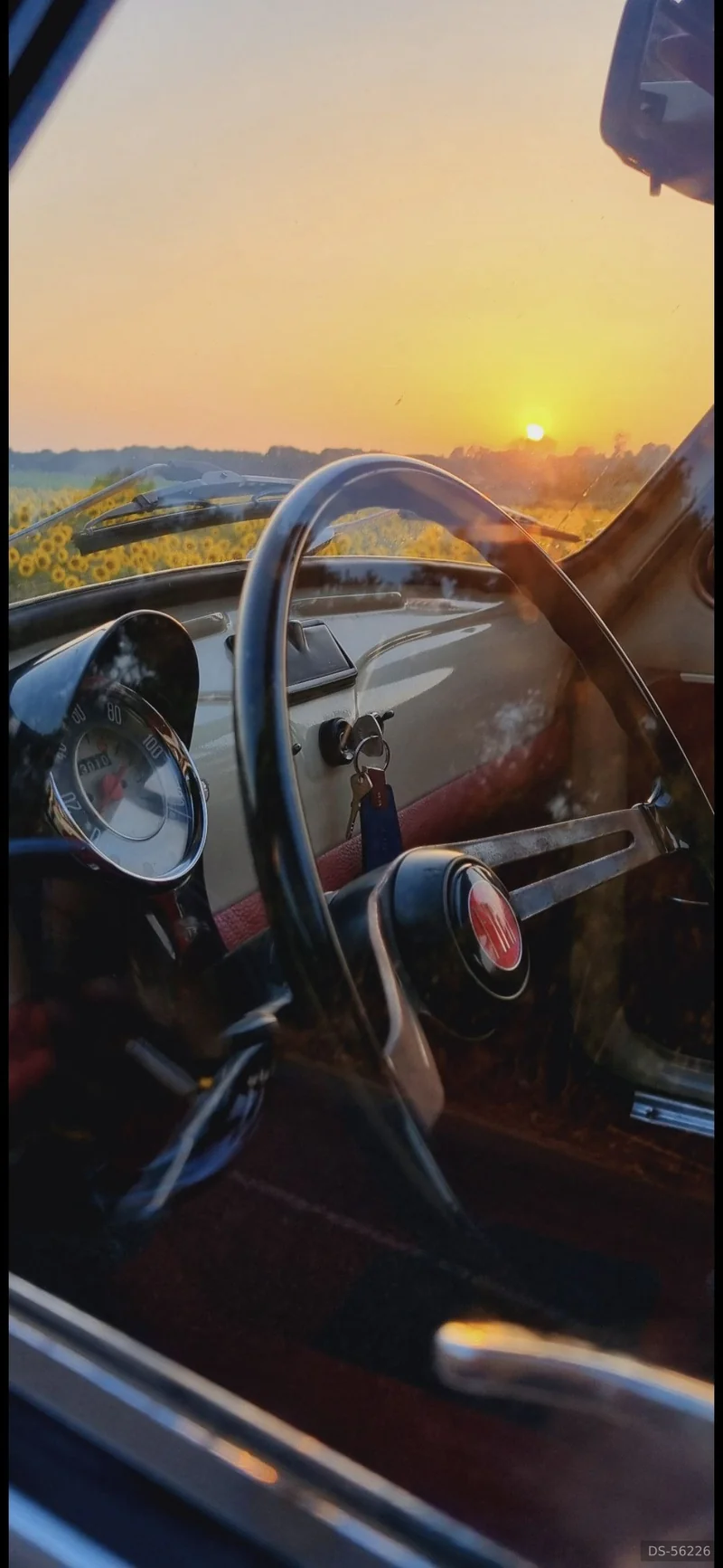 1973 Fiat 500 in Lamezia Terme 3