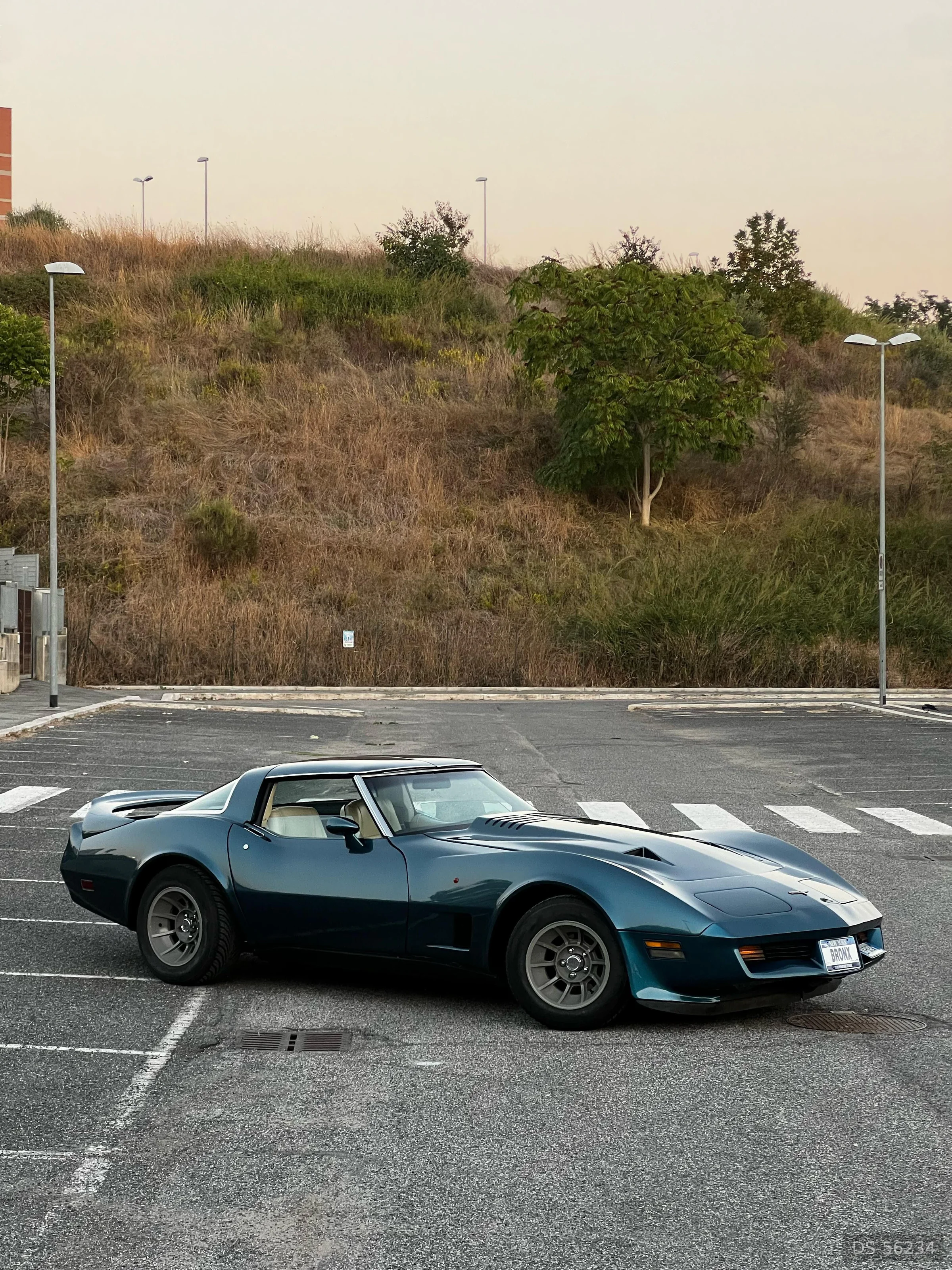 1980 Chevrolet Corvette C3