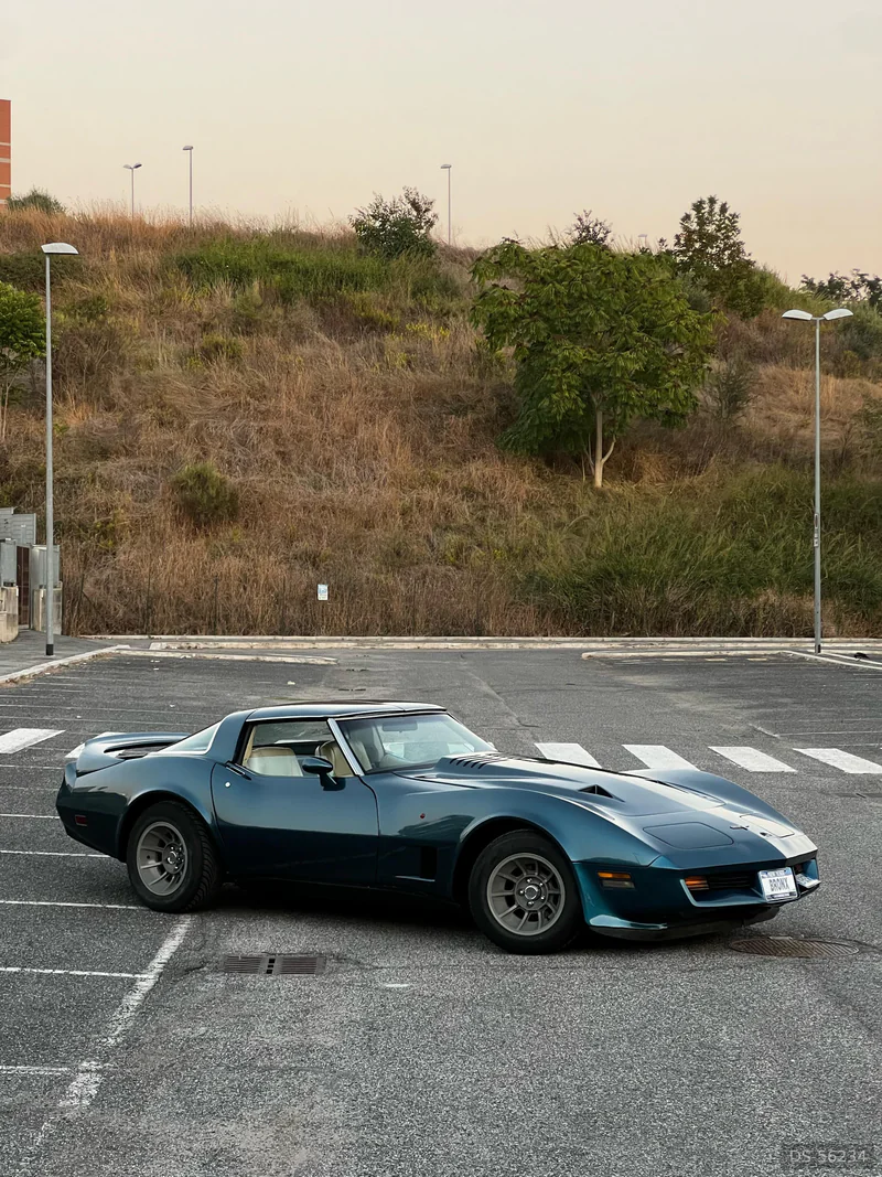 1980 Chevrolet Corvette C3 in Bolzano