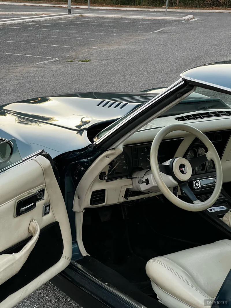 1980 Chevrolet Corvette C3 in Bolzano 5