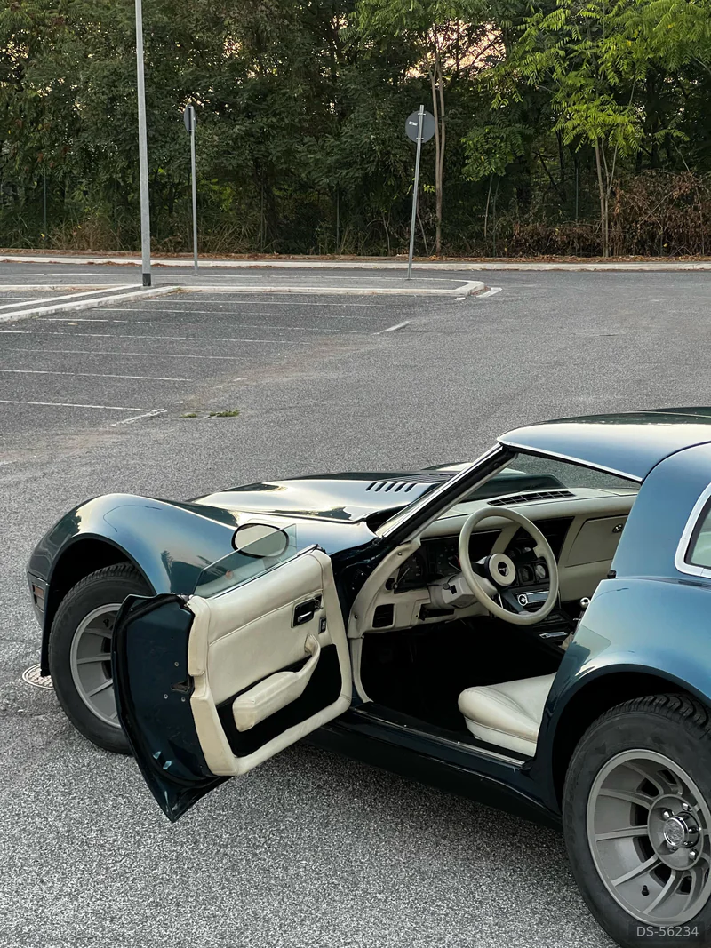 1980 Chevrolet Corvette C3 in Bolzano 6