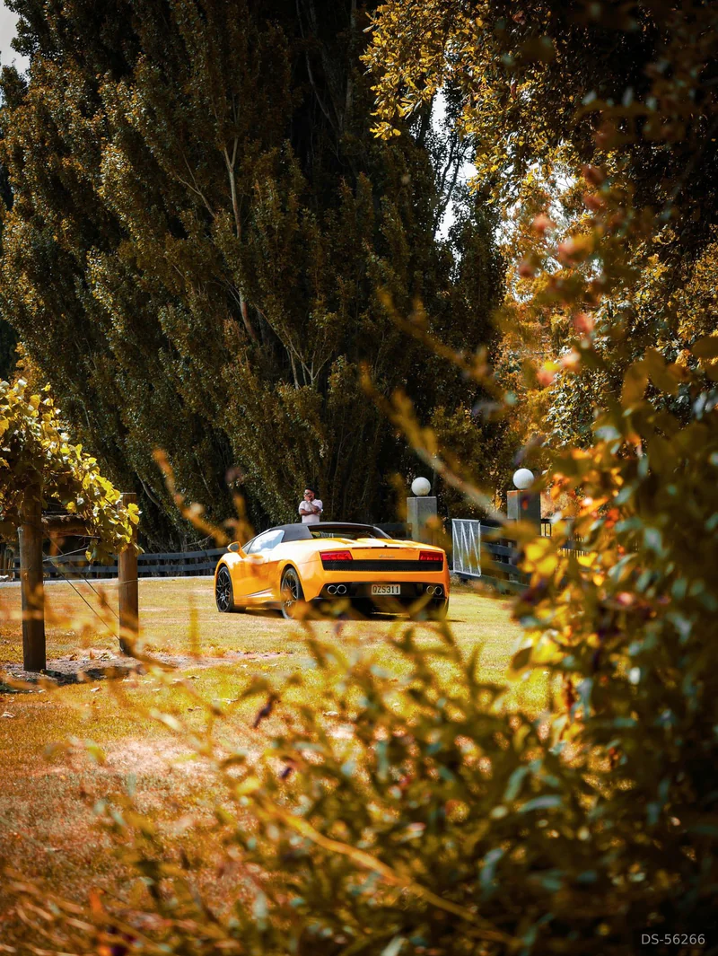 2013 Lamborghini Gallardo in Auckland 2