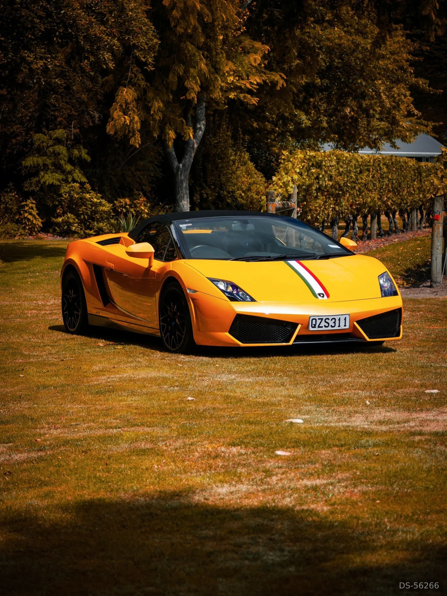 2013 Lamborghini Gallardo